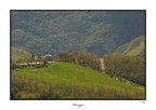 ...paesaggio.... ...paesaggio....
