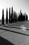 luci-ombre luci-ombre