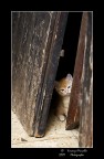 Cosa vuoi da me Cosa vuoi da me