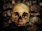 skull skull