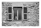 at the window at the window