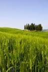 Val d'Orcia Val d'Orcia