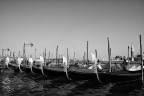 Venezia/09 Venezia/09