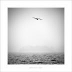 dentro un sogno dentro un sogno