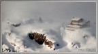 Sole ,neve e nebbia Sole ,neve e nebbia