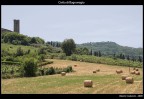 Campagna