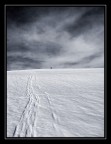 Salita solitaria Salita solitaria