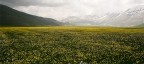 in fondo ......... Castelluccio in fondo ......... Castelluccio