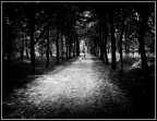 camminando verso ...... camminando verso ......