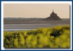 Le mont st Michel Le mont st Michel