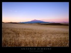 Silent Sunset Silent Sunset