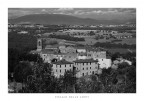 Poggio delle Corti Poggio delle Corti