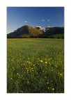 Le Tre Cime e il Botton d'Oro