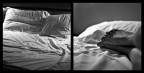 Hotel Room Hotel Room