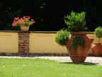 Perfect garden