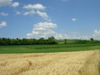 Giugno Giugno