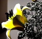 suggerimenti e critiche sempre ben accetti!

grazie a tutti