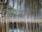 Gioco d'acqua Gioco d'acqua