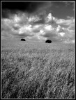una terra chiamata alentejo una terra chiamata alentejo