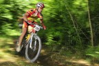 GF Soavebike 2009 GF Soavebike 2009