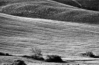 Paesaggi toscani Paesaggi toscani