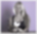 Daisy, acqua � sapone