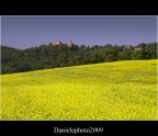 giallo.... giallo....
