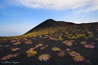 etna etna