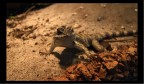 Nel deserto Nel deserto