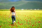 Welcome in Castelluccio Welcome in Castelluccio