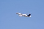 Go Fly Go Fly