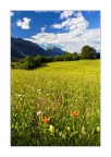 Due Gigli e la Cima Verde Due Gigli e la Cima Verde