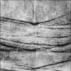 Analogica, stampa ai sali d'argento su carta baritata, 2005, misure:49.0x49.2, Hasselblad 503CW, 80 mm, Ilford FP4 Plus 125, 1 sec, f 11