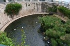 Fontana Aretusa - Siracusa