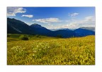 Verso Nord Verso Nord
