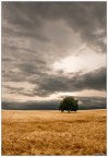 Tuscia landscape Tuscia landscape