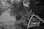 Riflessi Riflessi