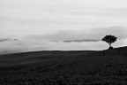 Val D'Orcia