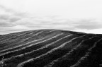 paesaggio temporale paesaggio temporale