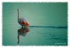 Lo specchio dell'anima... Lo specchio dell'anima...