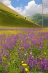 I Colori della natura I Colori della natura