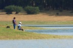pesca al lago Scanzano (Pa) pesca al lago Scanzano (Pa)