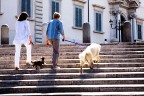 walking walking