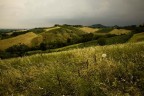 da montebudello