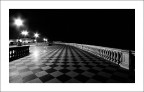 livorno - terrazza - notturno