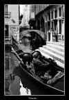 L'attesa del gondoliere L'attesa del gondoliere