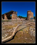 la forza della natura la forza della natura
