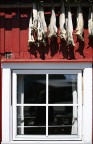 lofoten lofoten