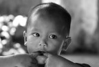 Volto dall'Indonesia Volto dall'Indonesia