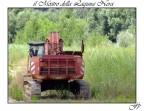 Il Mostro della Laguna
